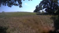 The field cam, Aug 19, 2023 at 12:39pm