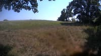 The field cam, Aug 19, 2023 at 12:49pm