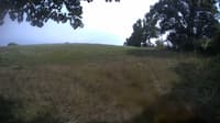The field cam, Aug 20, 2023 at 1:01pm