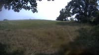 The field cam, Aug 20, 2023 at 1:04pm