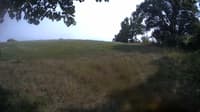 The field cam, Aug 20, 2023 at 1:08pm