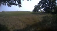 The field cam, Aug 20, 2023 at 1:14pm