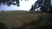 The field cam, Aug 20, 2023 at 1:15pm