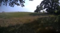 The field cam, Aug 22, 2023 at 1:38pm
