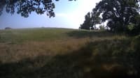The field cam, Aug 22, 2023 at 1:41pm