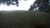 The field cam, Aug 25, 2023 at 4:11am