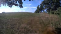 The field cam, Aug 25, 2023 at 7:05am