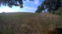 The field cam, Aug 25, 2023 at 7:11am