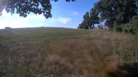 The field cam, Aug 25, 2023 at 7:19am