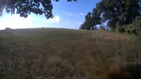 The field cam, Aug 25, 2023 at 7:21am