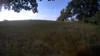 The field cam, Aug 25, 2023 at 7:21am