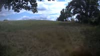 The field cam, Aug 25, 2023 at 12:53pm