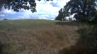 The field cam, Aug 25, 2023 at 12:59pm