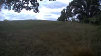 The field cam, Aug 27, 2023 at 9:46am