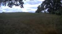 The field cam, Aug 27, 2023 at 9:47am