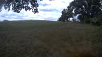 The field cam, Aug 27, 2023 at 9:53am