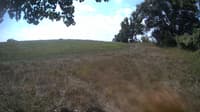 The field cam, Aug 28, 2023 at 9:47am