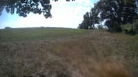 The field cam, Aug 28, 2023 at 9:52am
