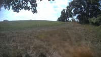 The field cam, Aug 28, 2023 at 10:02am