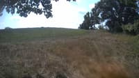 The field cam, Aug 29, 2023 at 10:01am