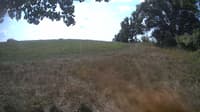 The field cam, Aug 29, 2023 at 10:06am