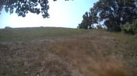 The field cam, Sep 1, 2023 at 9:30am