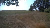 The field cam, Sep 1, 2023 at 9:33am