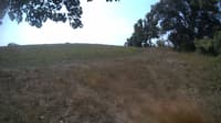 The field cam, Sep 1, 2023 at 9:40am