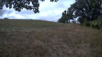 The field cam, Sep 7, 2023 at 8:21am