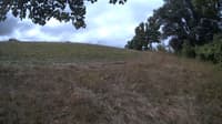 The field cam, Sep 7, 2023 at 8:22am