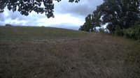 The field cam, Sep 7, 2023 at 9:40am