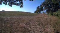 The field cam, Sep 8, 2023 at 7:30am