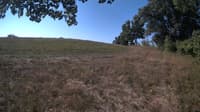 The field cam, Sep 8, 2023 at 7:50am