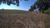 The field cam, Sep 8, 2023 at 7:58am
