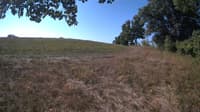 The field cam, Sep 8, 2023 at 8:01am