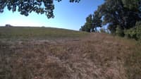 The field cam, Sep 8, 2023 at 8:15am