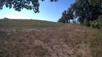 The field cam, Sep 8, 2023 at 8:23am