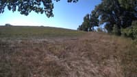 The field cam, Sep 8, 2023 at 8:26am