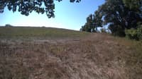 The field cam, Sep 8, 2023 at 9:15am