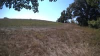 The field cam, Sep 8, 2023 at 9:47am