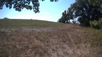 The field cam, Sep 8, 2023 at 9:52am