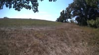 The field cam, Sep 8, 2023 at 9:54am
