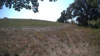 The field cam, Sep 8, 2023 at 10:28am