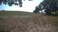 The field cam, Sep 8, 2023 at 10:40am