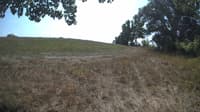 The field cam, Sep 8, 2023 at 10:51am