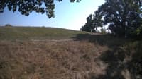 The field cam, Sep 8, 2023 at 1:02pm