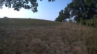 The field cam, Sep 9, 2023 at 7:10am