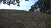 The field cam, Sep 9, 2023 at 8:10am
