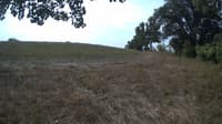The field cam, Sep 9, 2023 at 8:51am