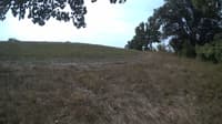 The field cam, Sep 9, 2023 at 8:58am